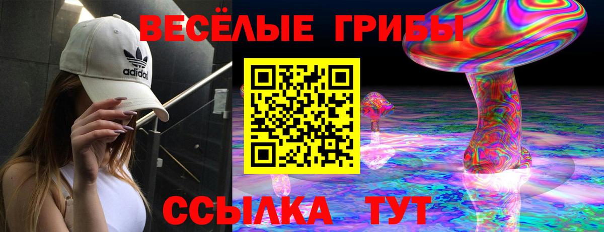 Барабинск  Галлюциногенные грибы мицелий  Вход с VPN  Псилоцибиновые грибы мухоморы 
